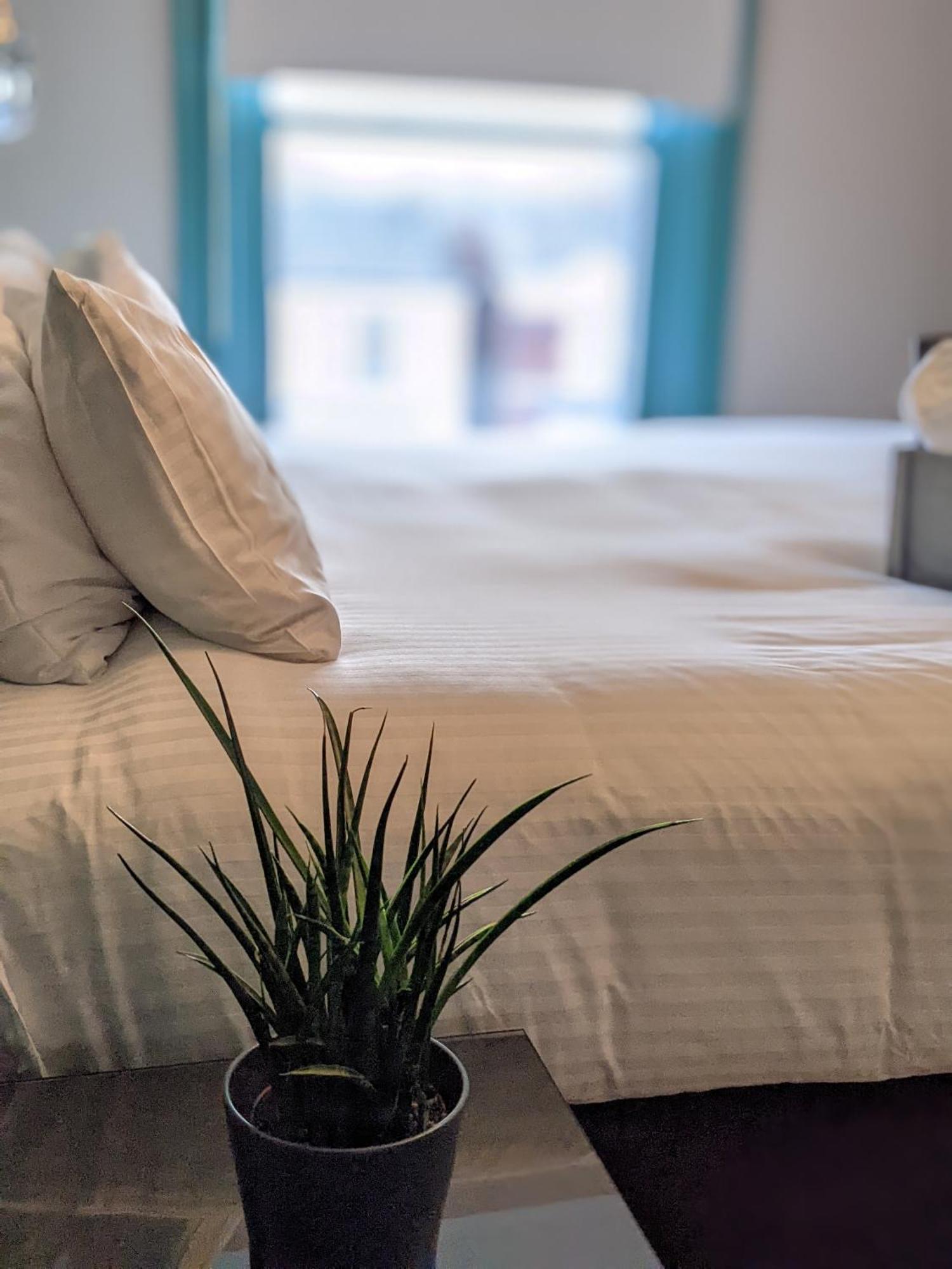 3 -min Walk To Pier & Fast Wi-fi & Perfect Getaway Guest house Southport